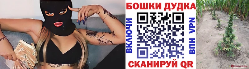 Бошки Шишки Amnesia  Спасск 