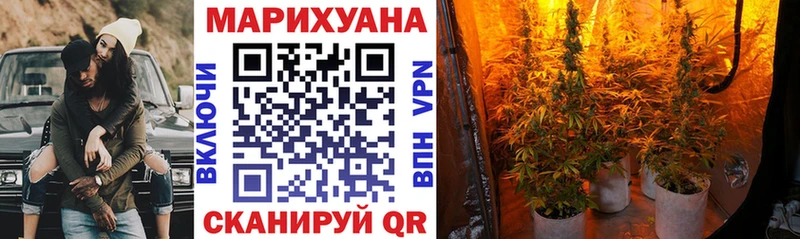 Каннабис MAZAR Спасск